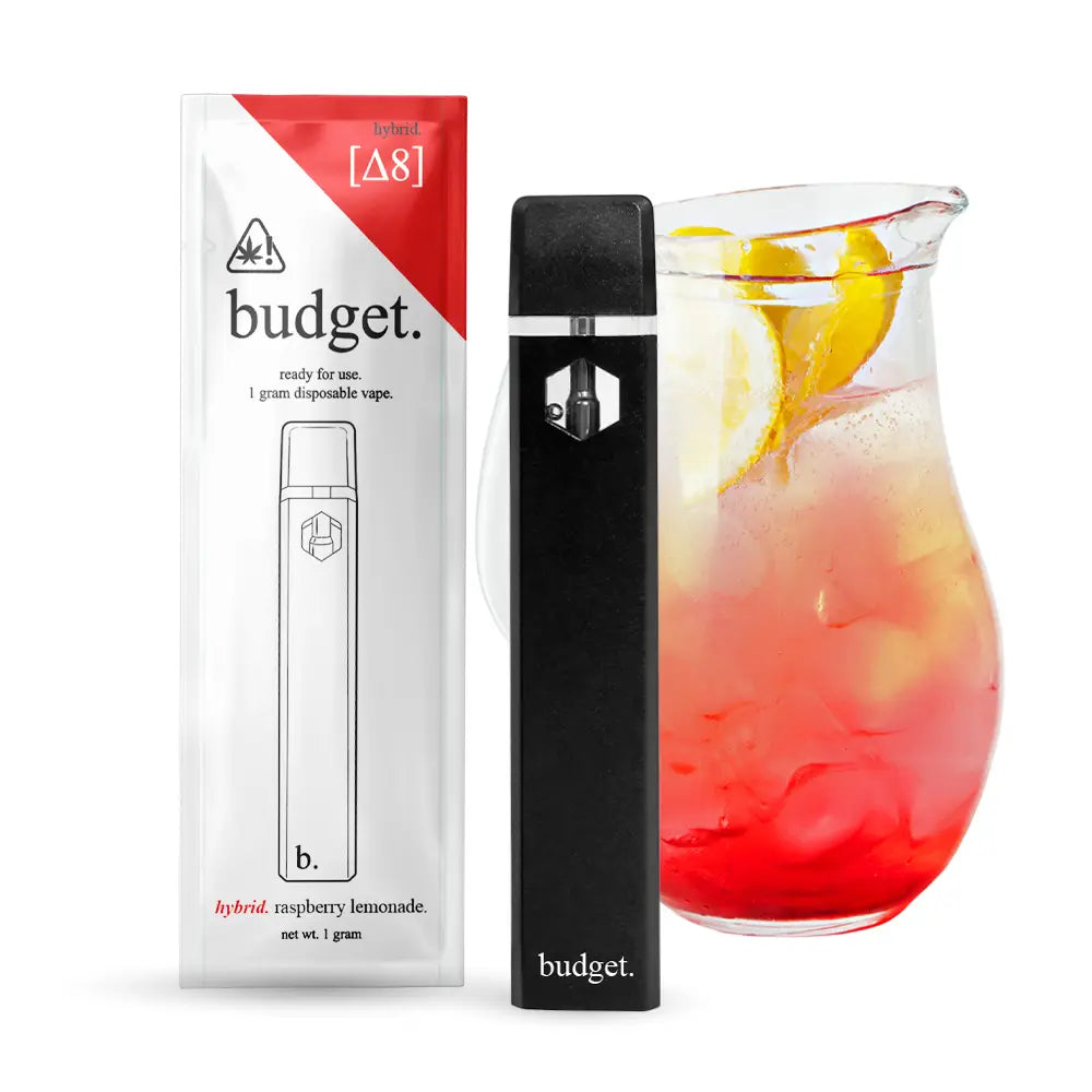 1 Gram Delta-8 THC Vape Pen | Raspberry Lemonade - Hybrid