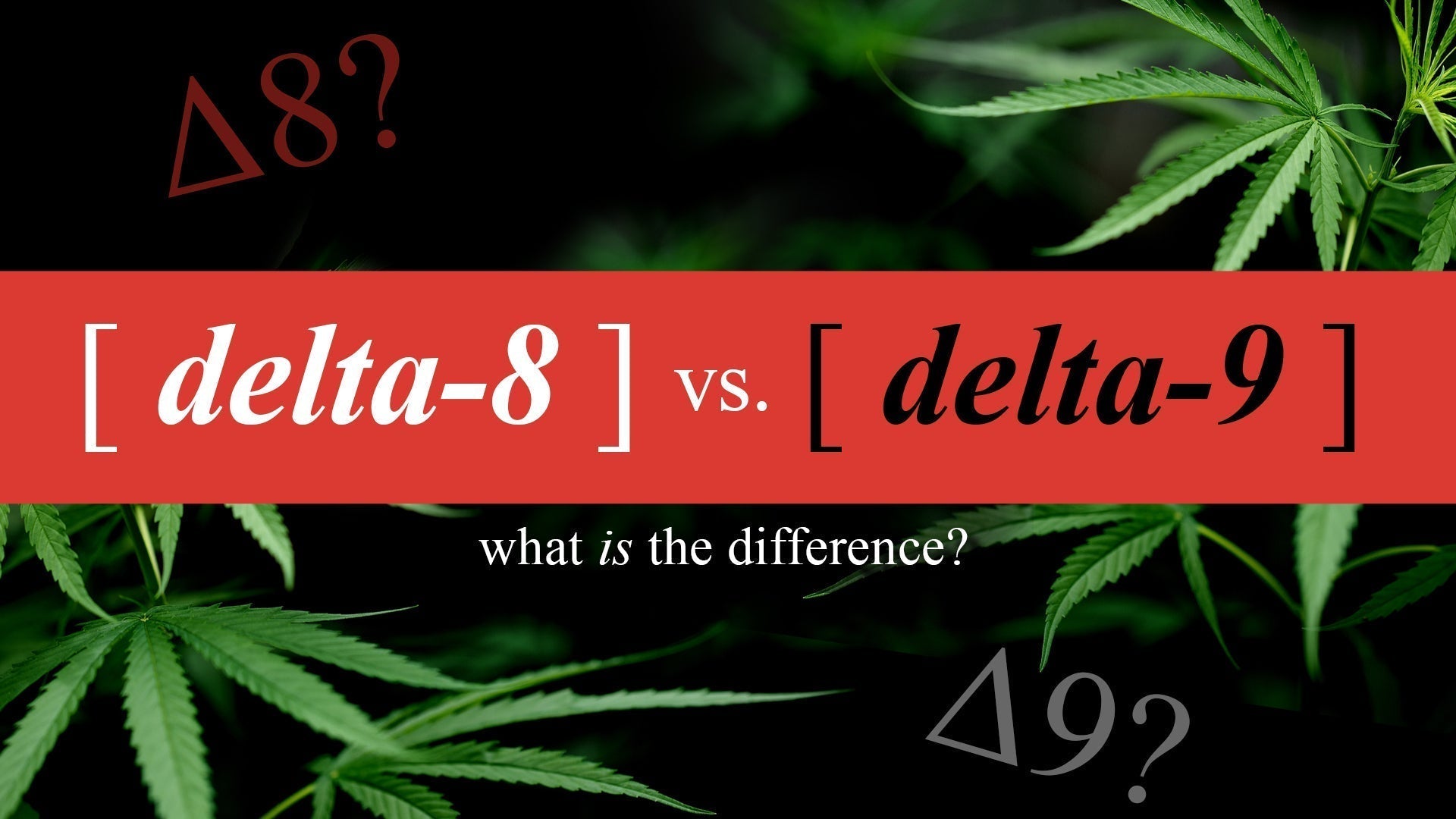 Delta-8 vs Delta-9: What's the Real Difference?