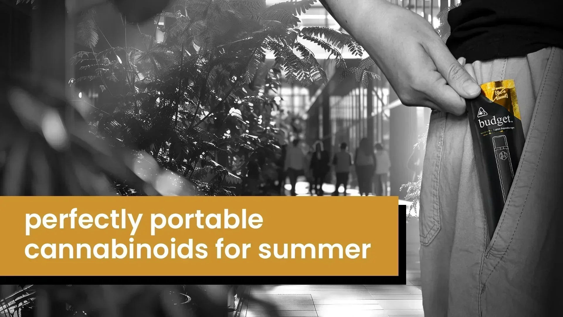 Portable Cannabinoids For Summer
