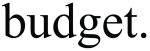 budget brand vaping - web logo