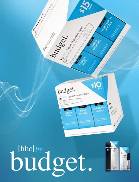 hhc vapes and carts by budget brand